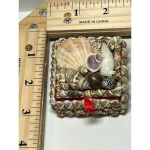 Handmade Seashell Jewelry Trinket Box with Red Velvet Lining Coastal Gift Decor